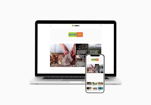 Search Engine Optimization Package Example: Agro2 – Agribusiness News Portal