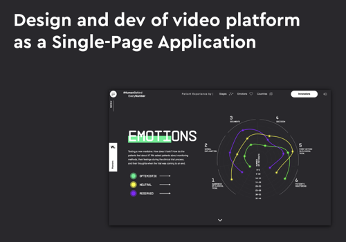 Custom Software Development Package Example: Video platform and interactive report