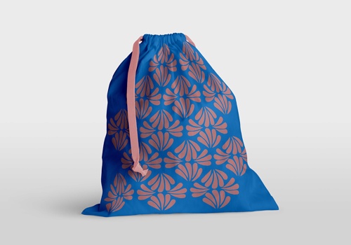 Custom Software Development Package Example: Anna in India