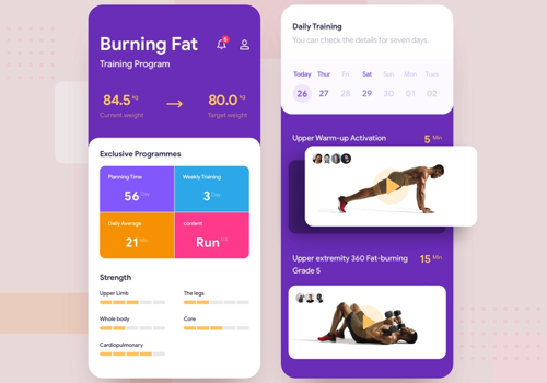 Mobile App Development Package Example: Mobile App | B2B2C