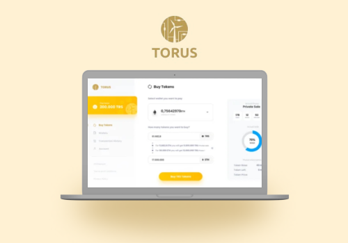 Custom Software Development Package Example: Torus Project - Creating new cryptocurrency