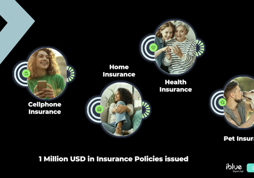 Custom Software Development Package Example: Digital Products for Insurtech