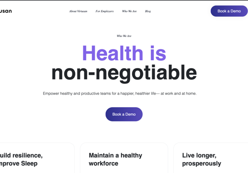Web Development Package Example: Virtusan
