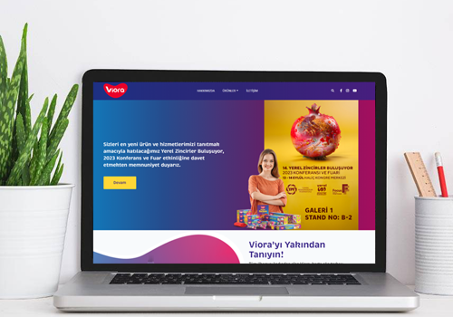 Web Design Package Example: Viora