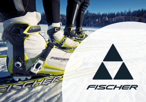 Other IT Consulting and SI Package Example: Dynamics AX implementation in “Fisсher-Mukachevo”