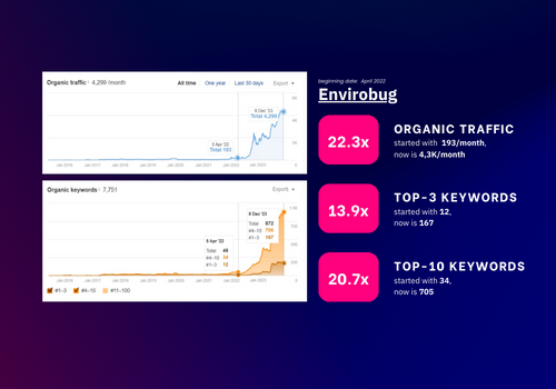 Search Engine Optimization Package Example: SEO for Envirobug Website