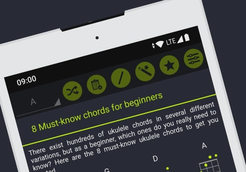 Custom Software Development Package Example: Ukulele Chords Chart