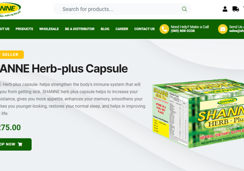 Web Design Package Example: Project with Shanne