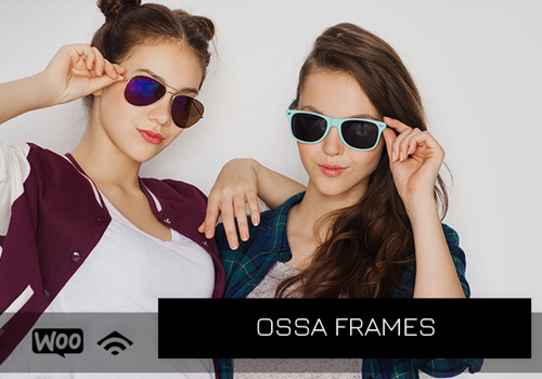 Content Marketing Package Example: OSSA FRAMES