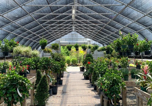 Pay Per Click Package Example: A Deeper, Wider Reach