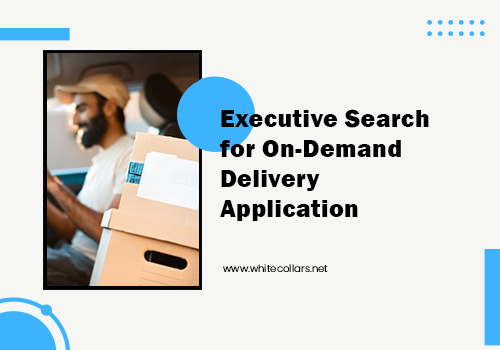 Recruiting Package Example: Executive Search for On-Demand Delivery App
