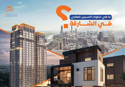 Advertising Package Example: Al Hoor's Social Media Account Management