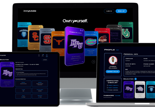 Custom Software Development Package Example: Immyoutable