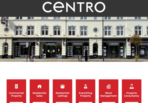 Web Design Package Example: Project with Centro Plc