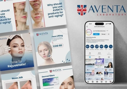 Digital Strategy Package Example: Aventa Social Media Strategy