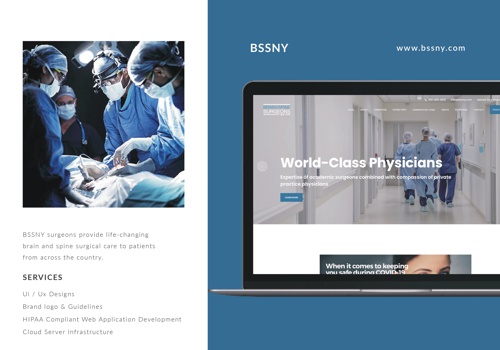 Web Development Package Example: BSSNY