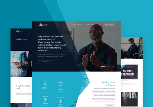 Web Design Package Example: Website for Accuviselt
