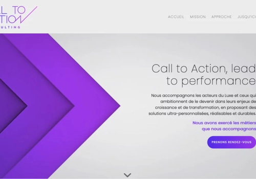 Web Design Package Example: calltoaction-conseil.com website