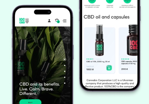 UX/UI Design Package Example: UX/UI for CBD100