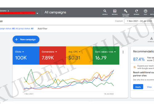 Ecommerce Marketing Package Example: Google Shopping and Remarketing Ads management