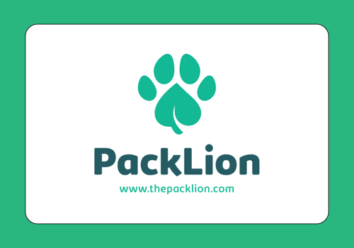 Search Engine Optimization Package Example: Packlion: First positions for keywords in the UK