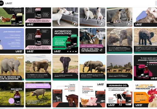 Social Media Marketing Package Example: Lavet