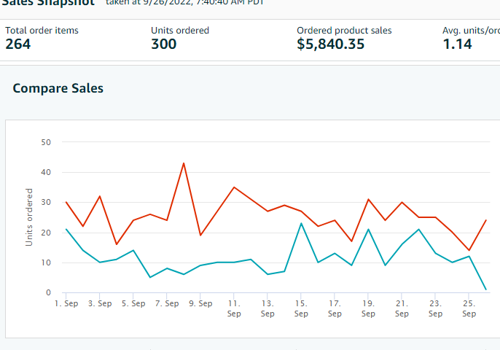 Pay Per Click Package Example: Amazon Seller Central Management