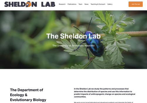 Web Design Package Example: Web Design and Development for Research Lab