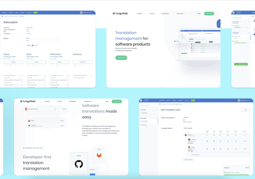 Web Development Package Example: A Vue.js platform for software translation