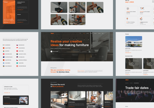 Web Design Package Example: Blum Website