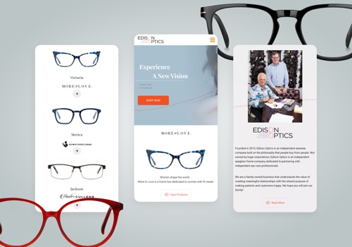 Web Design Package Example: B2B ecommerce for eyeglass frame company