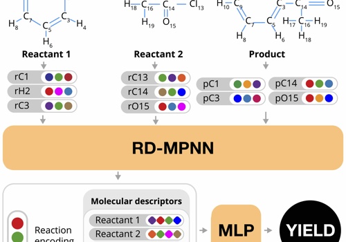 AI Development Package Example: Chemical Reaction Yield Prediction