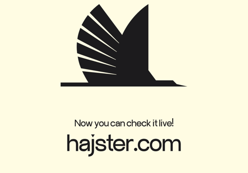 Web Design Package Example: Landing page for Hajster