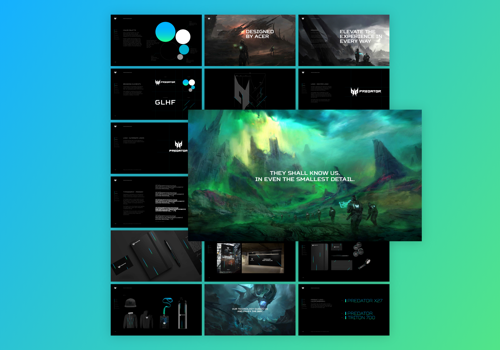 Branding Package Example: Predator