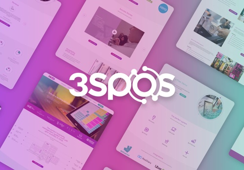 Web Design Package Example: 3S POS