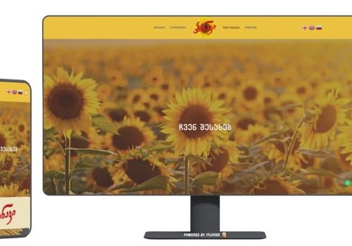 Web Design Package Example: Pinaki