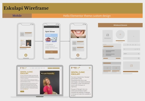 Web Design Package Example: Eskulapi
