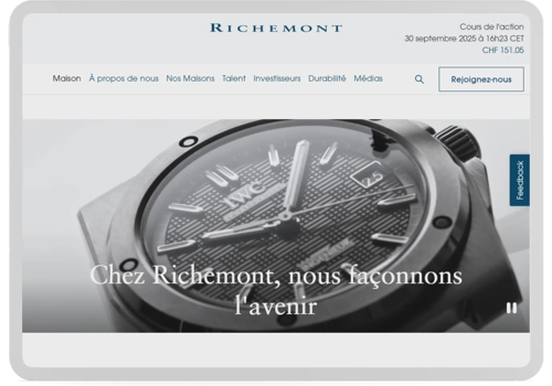 Translation Package Example: Case Study: Richemont International