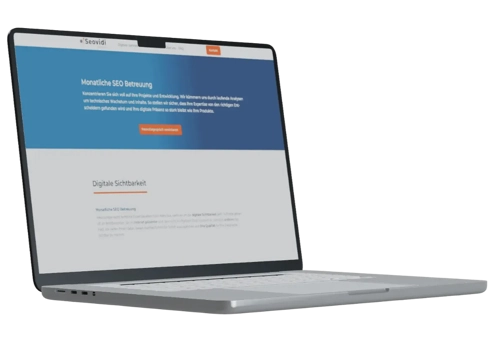 Search Engine Optimization Package Example: SEO, SEA & Strategic Web Design Framework for B2B