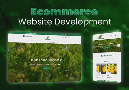 UX/UI Design Package Example: Full-Stack Ecommerce Build for Florida Farms BD
