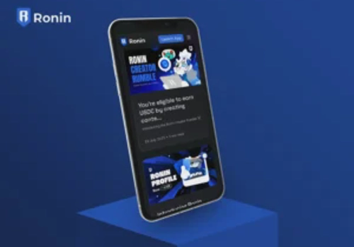 Blockchain Package Example: RoninChain - Blockchain Platform for Gaming