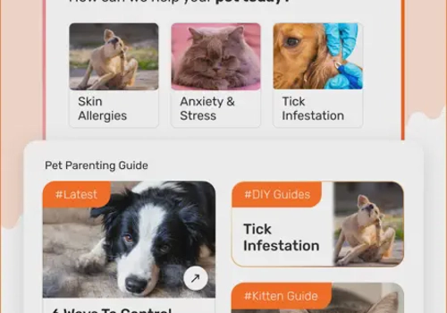 Mobile App Development Package Example: iOS App Development for Heads Up For Tails India's