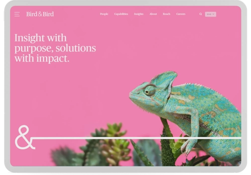 Translation Package Example: Case Study: Bird & Bird