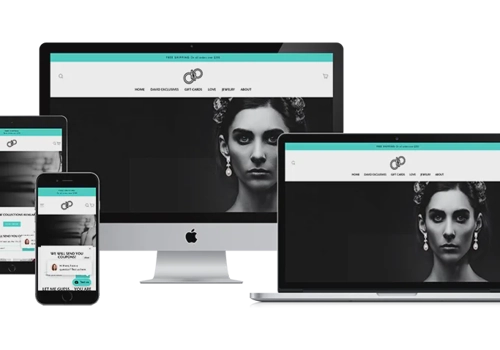 Web Design Package Example: Shopify Launch: DavidPiersonJewelry.com