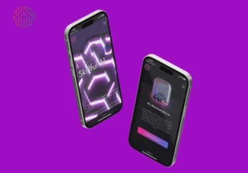 Blockchain Package Example: Skillful AI Ecosystem