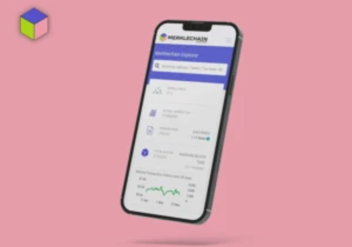 Blockchain Package Example: MerkleScan Explorer - Future Smart Chain ecosystem