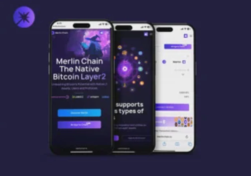 Blockchain Package Example: Merlinchain Blockchain Ecosystem