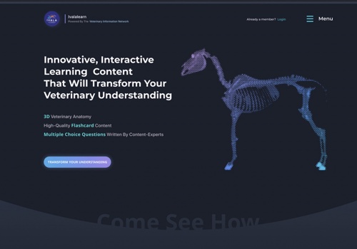 Custom Software Development Package Example: Redesign EdTech platform