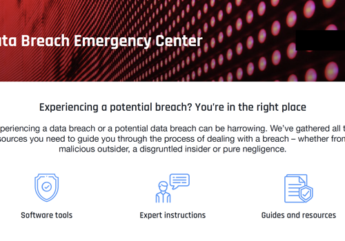 Digital Strategy Package Example: Special website resource