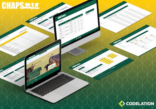 UX/UI Design Package Example: Cow Herd Appraisal Performance Software